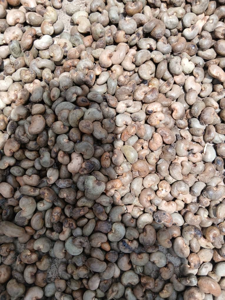 Cashew Nuts